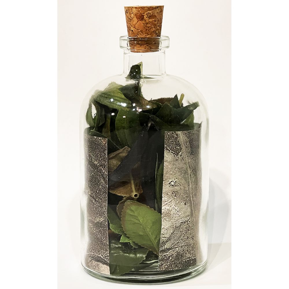 <br/>Kesti Praetorian back, 10/9/2025<br/>Apx 6½" x 3" x 3"<br/>glass, paper, ink, cork, plastic and cloth